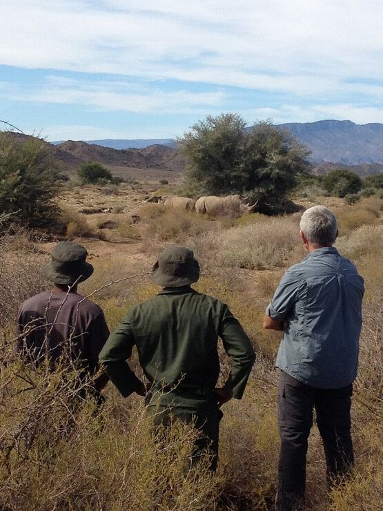 Rhino Monitoring